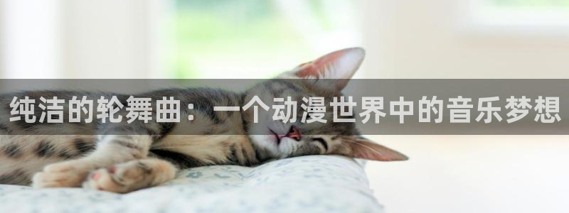 囧次元动漫app正版下载