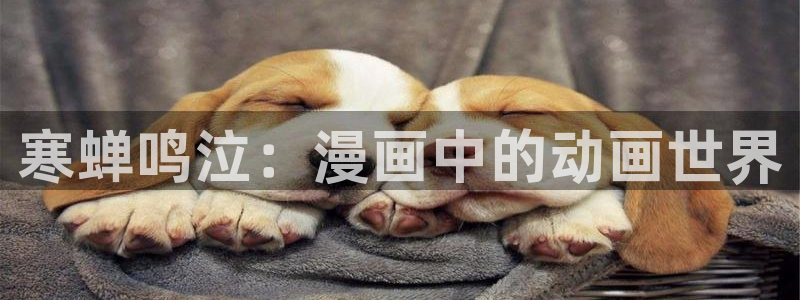囧次元官网在线观看免费入口