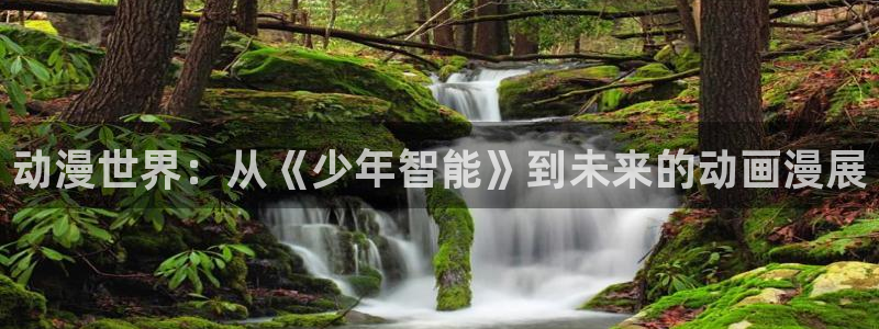 囧次元正版下载官方入口