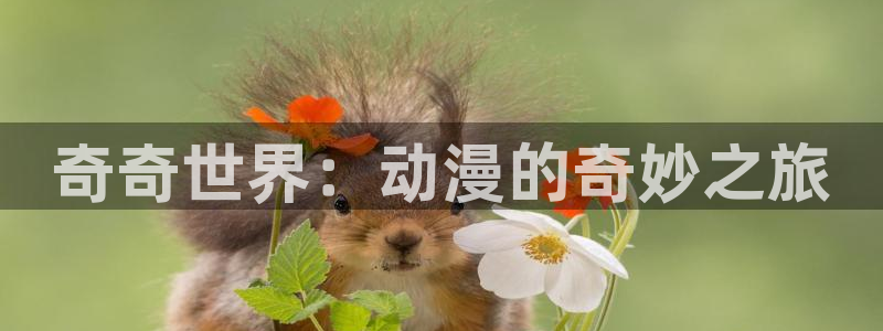 囧次元官方网站ios版本