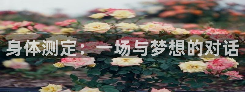囧次元在线观看入口网址