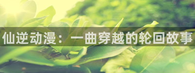 囧次元在线