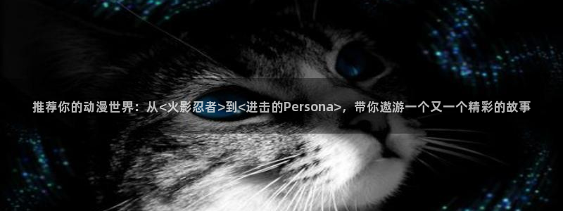 囧次元官方版