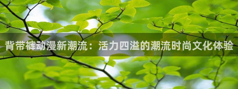 囧次元官网入口下载最新版
