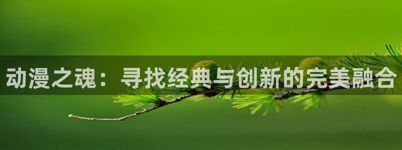 囧次元最新版