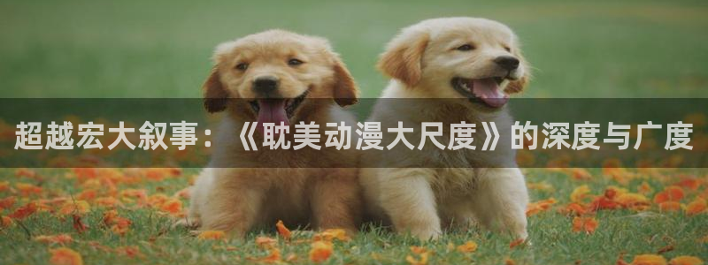 囧次元官方正版app下载最新版本