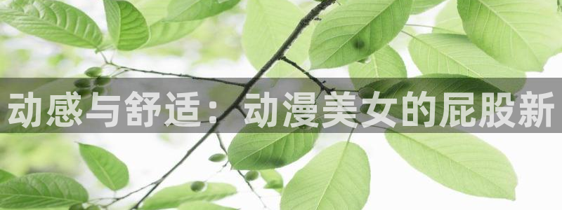 囧次元app官方入口