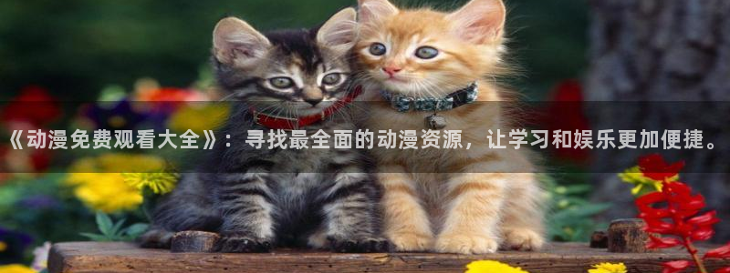 囧次元正版下载