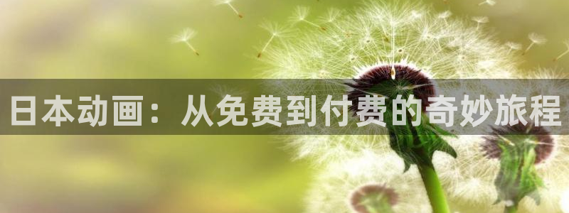 囧次元app下载官方正版