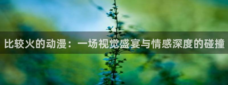 囧次元正版免费下载：比较火的动漫：一场视觉盛宴与情感深度的碰撞