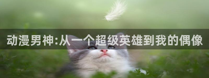 囧次元最新版本下载：动漫男神:从一个超级英雄到我的偶像