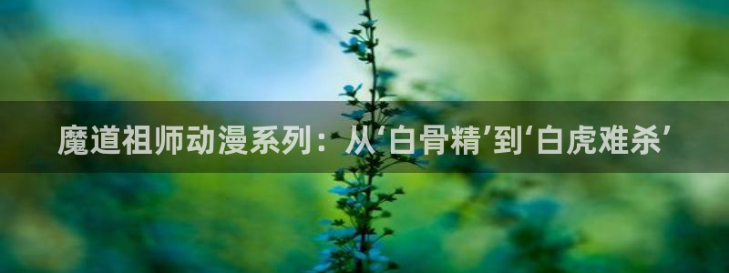 囧次元网页版：魔道祖师动漫系列：从‘白骨精’到‘白虎难杀’