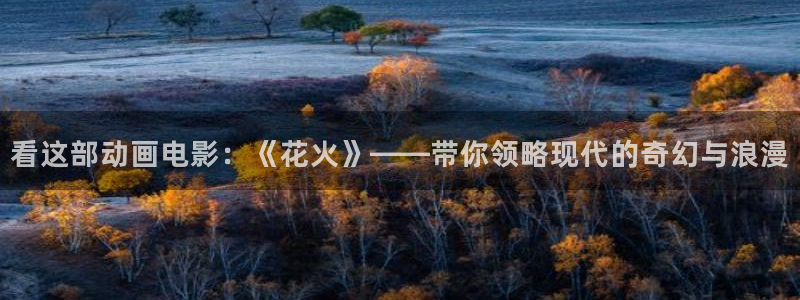 囧次元官网在线观看免费入口：看这部动画电影：《花火》——带你领略现代的奇幻与浪漫