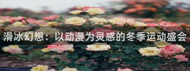 囧次元动漫官网下载入口