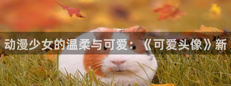 囧次元官方下载最新版