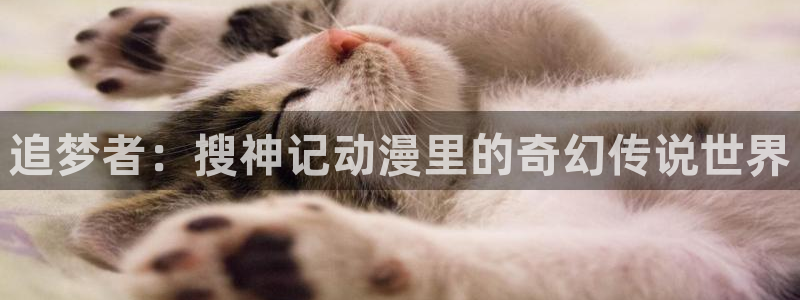 囧次元网页版入口