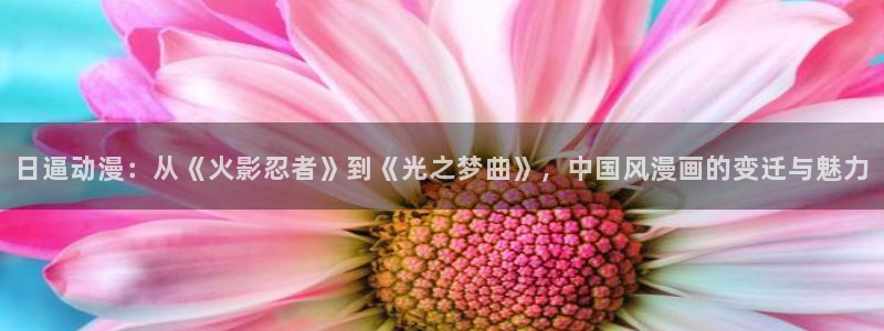 囧次元网站链接