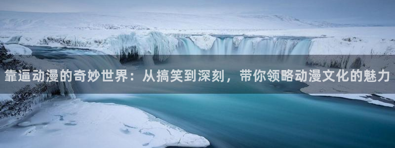 囧次元下载官方正版最新版