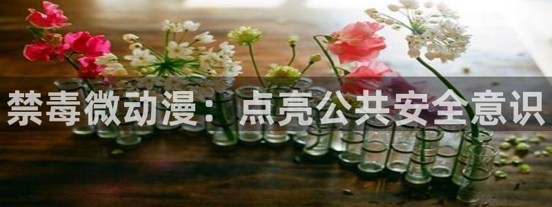 囧次元动漫