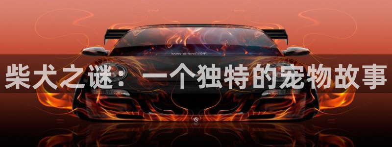 囧次元官方app下载