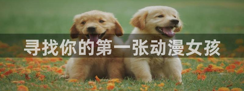 囧次元看动漫