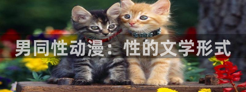 囧次元在线观看