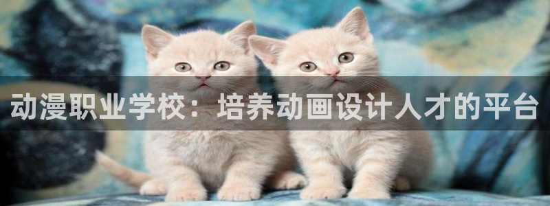 囧次元苹果版官方网站入口