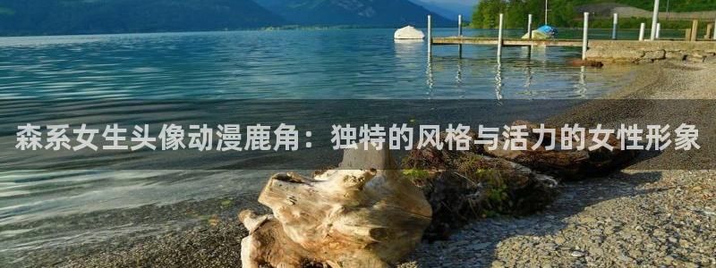 囧次元官方网站入口官网在线观看