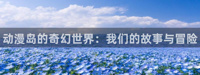 囧次元正版下载官方入口