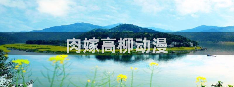 囧次元网页官网