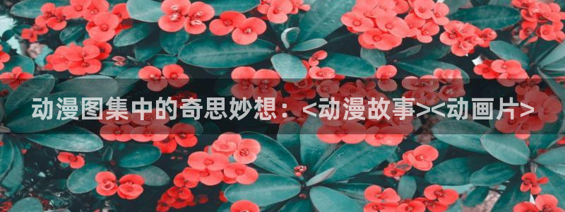 囧次元官方网站