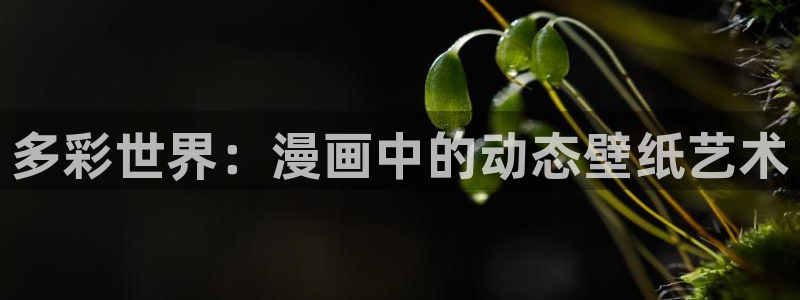 最新囧次元app下载