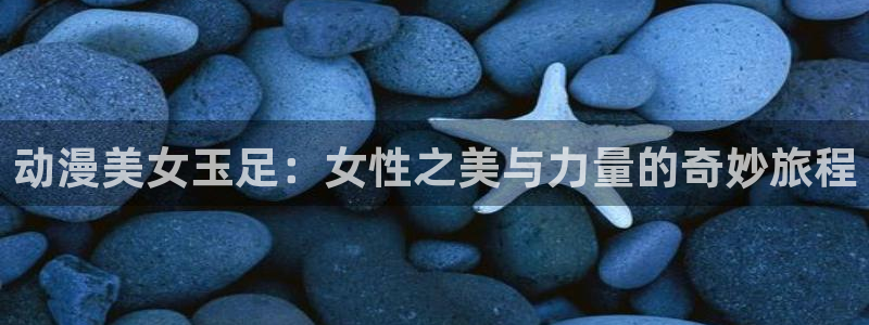 囧次元动漫下载app官网