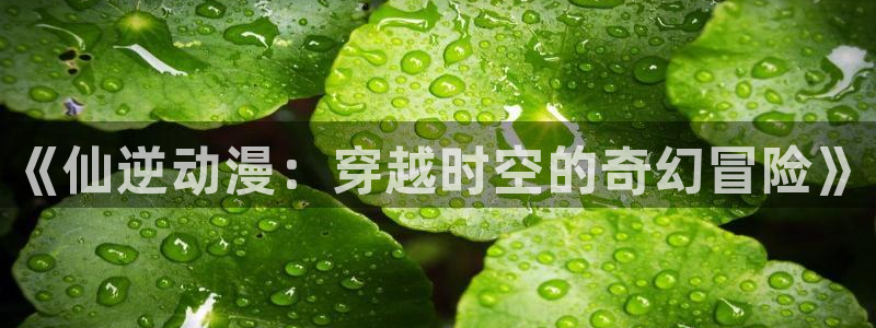 囧次元官网入口下载最新版