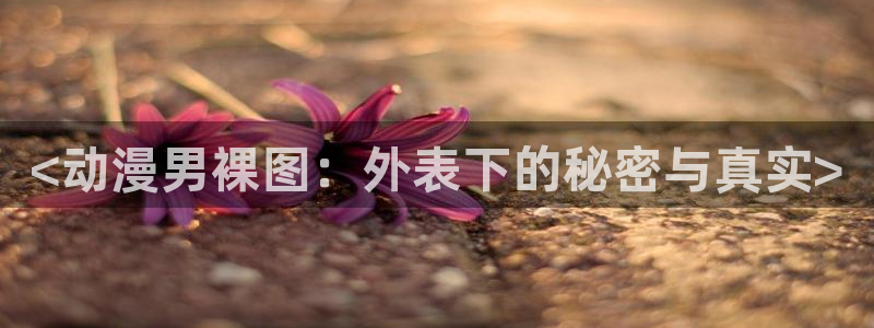 囧次元下载官方app