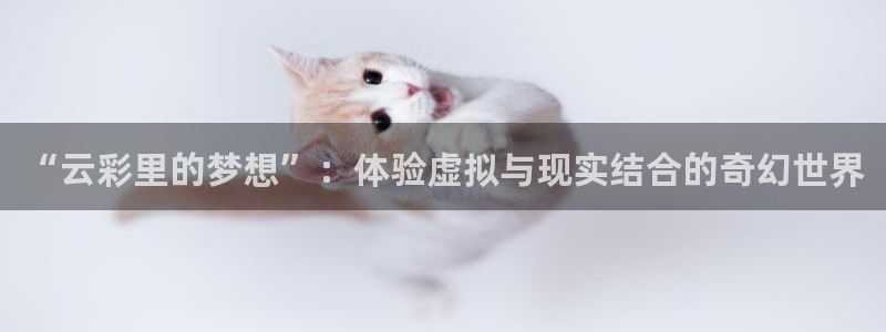 囧次元动漫app官网下载