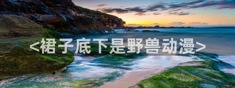 囧次元网页版在线