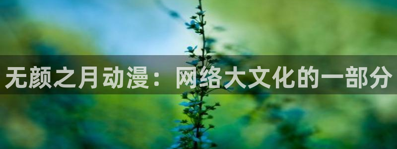 囧次元app官方版下载