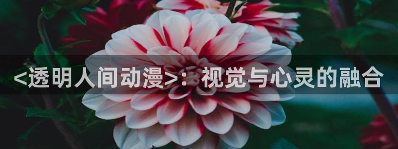 囧次元app下载官网版