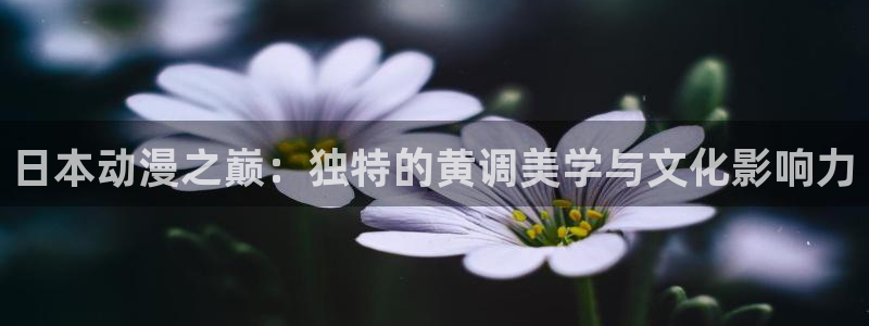 囧次元官方正版