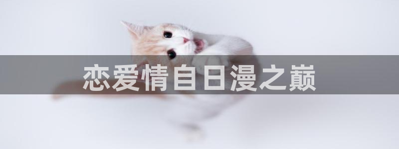 囧次元官方正版app下载最新版本