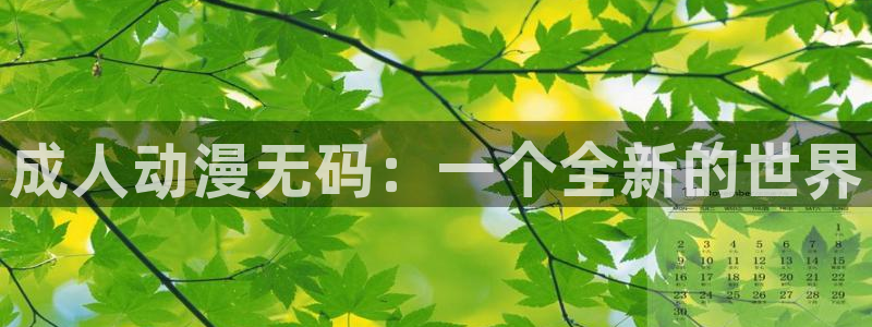 囧次元网页版入口网址