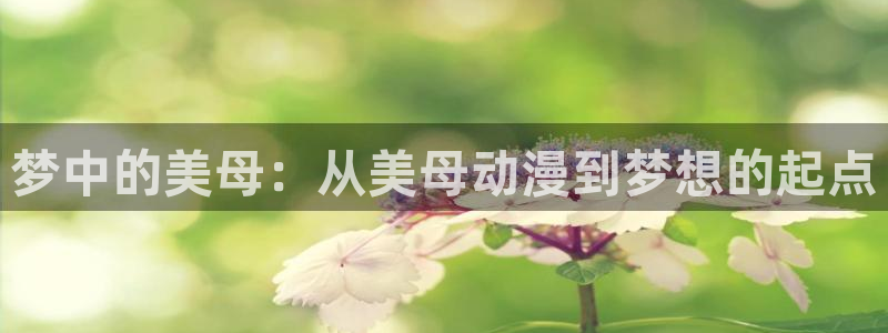 囧次元官方网站下载