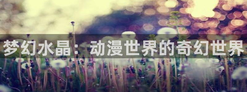 囧次元app最新版本