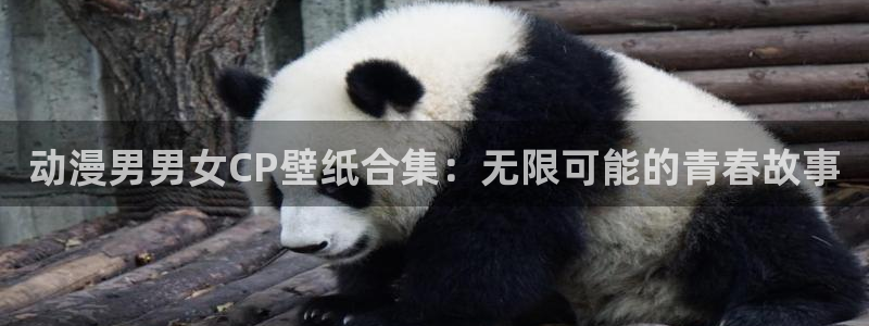 囧次元网站入口