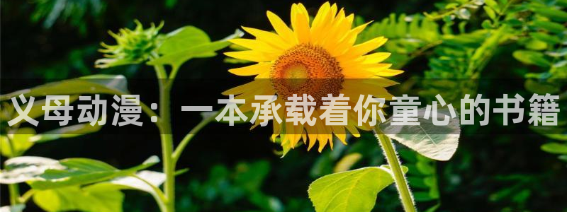 囧次元免费下载官方正版