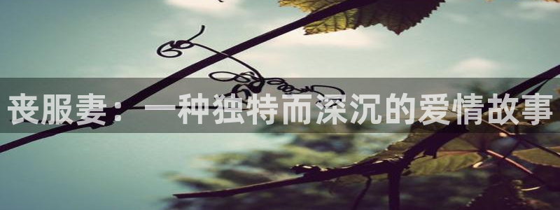 囧次元ios