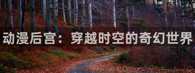 囧次元动漫app正版下载