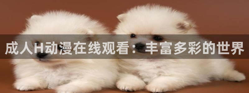 囧次元热门动漫有哪些