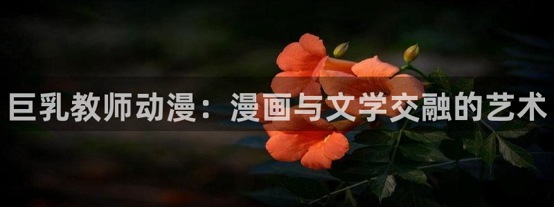囧次元下载最新
